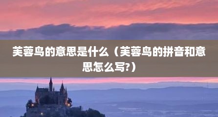 芙蓉鸟的意思是什么（芙蓉鸟的拼音和意思怎么写?）