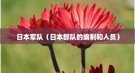 日本军队（日本部队的编制和人员）
