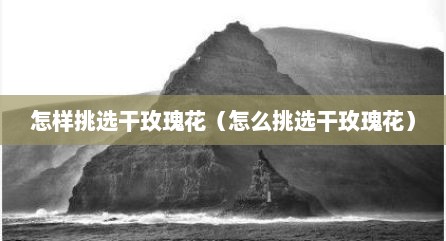 怎样挑选干玫瑰花（怎么挑选干玫瑰花）