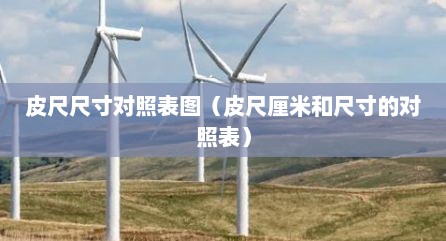 皮尺尺寸对照表图（皮尺厘米和尺寸的对照表）