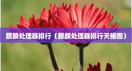 麒麟处理器排行（麒麟处理器排行天梯图）