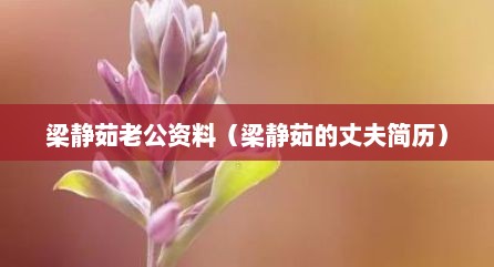 梁静茹老公资料（梁静茹的丈夫简历）