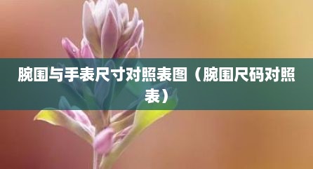 腕围与手表尺寸对照表图（腕围尺码对照表）