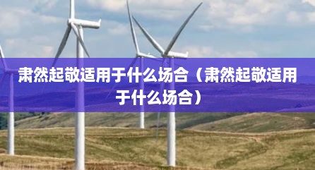 肃然起敬适用于什么场合（肃然起敬适用于什么场合）