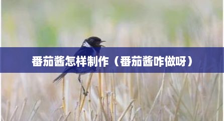 番茄酱怎样制作（番茄酱咋做呀）