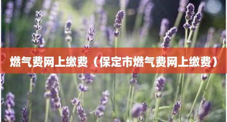 燃气费网上缴费（保定市燃气费网上缴费）