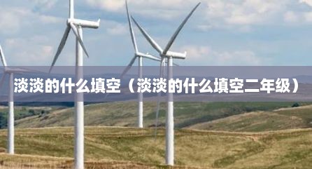 淡淡的什么填空（淡淡的什么填空二年级）