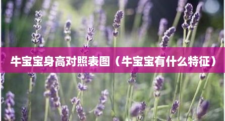 牛宝宝身高对照表图（牛宝宝有什么特征）