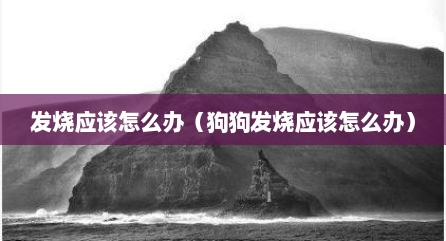 发烧应该怎么办（狗狗发烧应该怎么办）