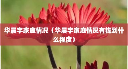 华晨宇家庭情况（华晨宇家庭情况有钱到什么程度）