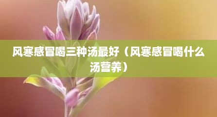 风寒感冒喝三种汤最好（风寒感冒喝什么汤营养）