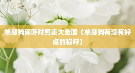 单身狗称呼对照表大全图（单身狗有没有好点的称呼）