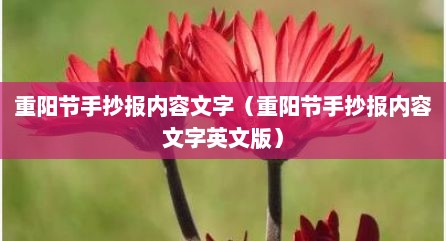 重阳节手抄报内容文字（重阳节手抄报内容文字英文版）