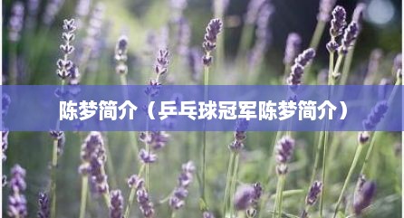 陈梦简介（乒乓球冠军陈梦简介）