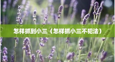 怎样抓到小三（怎样抓小三不犯法）