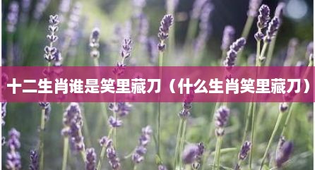 十二生肖谁是笑里藏刀（什么生肖笑里藏刀）