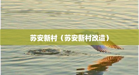 苏安新村（苏安新村改造）