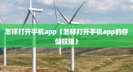 怎样打开手机app（怎样打开手机app的存储权限）