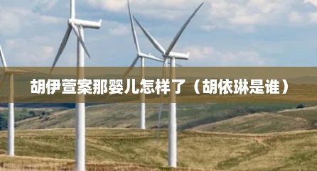 胡伊萱案那婴儿怎样了（胡依琳是谁）