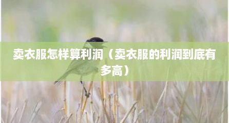 卖衣服怎样算利润（卖衣服的利润到底有多高）