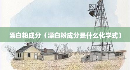 漂白粉成分（漂白粉成分是什么化学式）