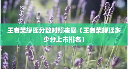王者荣耀瑶分数对照表图（王者荣耀瑶多少分上市排名）