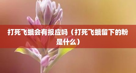 打死飞蛾会有报应吗（打死飞蛾留下的粉是什么）