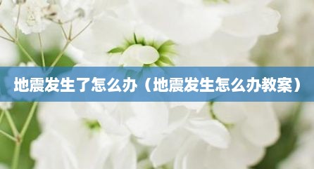地震发生了怎么办（地震发生怎么办教案）