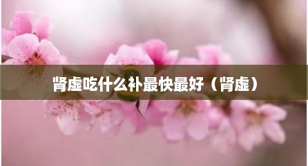 肾虚吃什么补最快最好（肾虚）