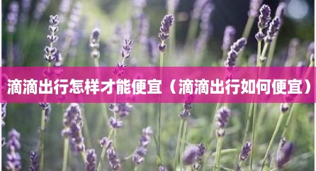 滴滴出行怎样才能便宜（滴滴出行如何便宜）