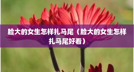 脸大的女生怎样扎马尾（脸大的女生怎样扎马尾好看）