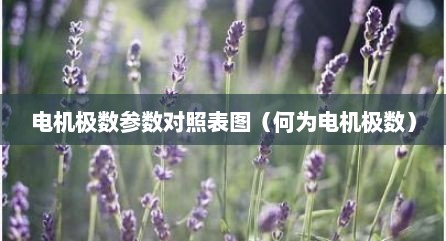 电机极数参数对照表图（何为电机极数）