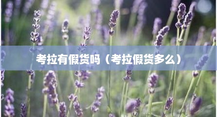考拉有假货吗（考拉假货多么）