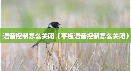 语音控制怎么关闭（平板语音控制怎么关闭）