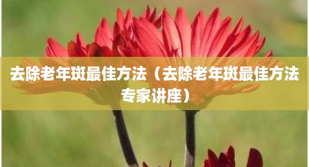 去除老年斑最佳方法（去除老年斑最佳方法专家讲座）