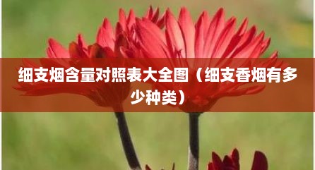 细支烟含量对照表大全图（细支香烟有多少种类）