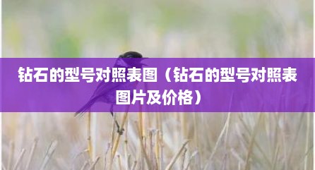 钻石的型号对照表图（钻石的型号对照表图片及价格）