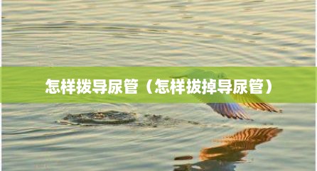 怎样拨导尿管（怎样拔掉导尿管）