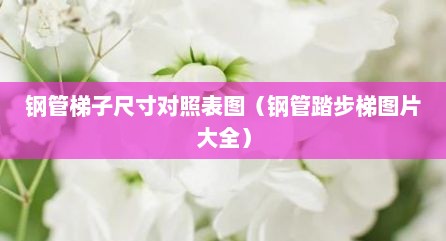 钢管梯子尺寸对照表图（钢管踏步梯图片大全）