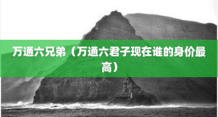 万通六兄弟（万通六君子现在谁的身价最高）