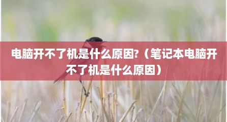 电脑开不了机是什么原因?（笔记本电脑开不了机是什么原因）