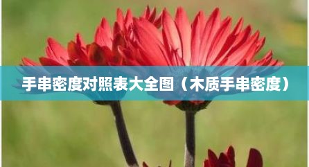 手串密度对照表大全图（木质手串密度）