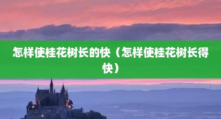 怎样使桂花树长的快（怎样使桂花树长得快）