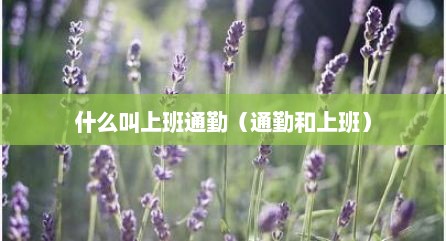 什么叫上班通勤（通勤和上班）