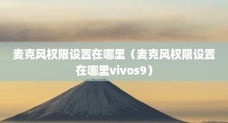 麦克风权限设置在哪里（麦克风权限设置在哪里vivos9）