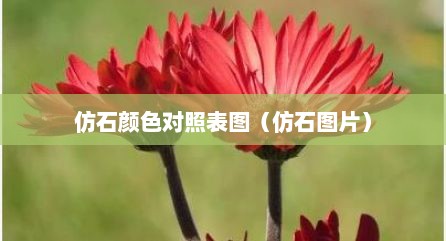 仿石颜色对照表图（仿石图片）