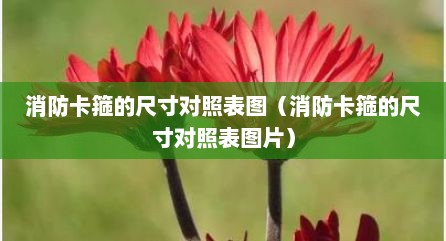 消防卡箍的尺寸对照表图（消防卡箍的尺寸对照表图片）