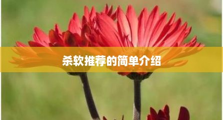 杀软推荐的简单介绍