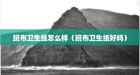 班布卫生纸怎么样（班布卫生纸好吗）