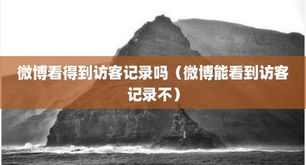 微博看得到访客记录吗（微博能看到访客记录不）